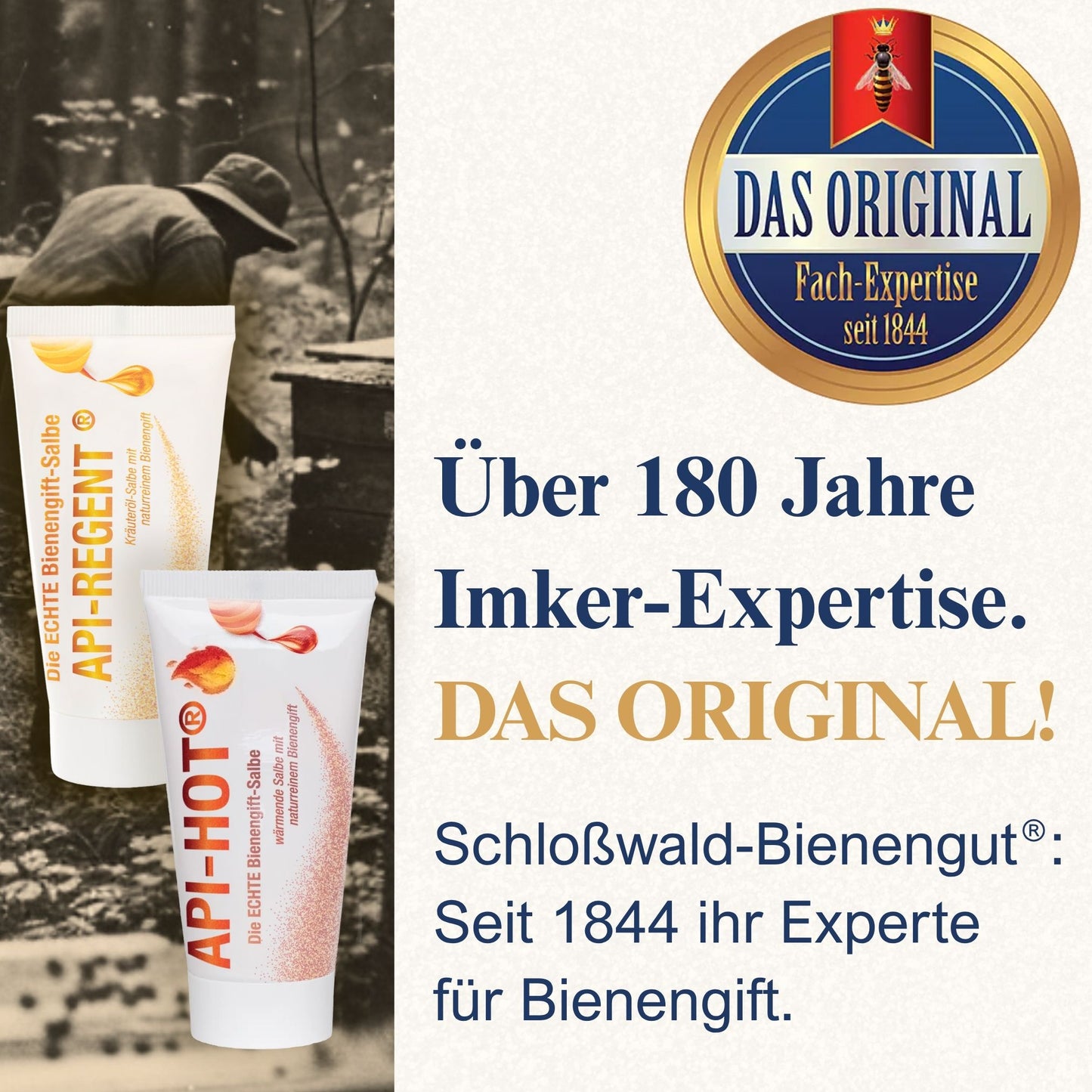 Set Hot & Cold: Bienengift-Salbe WÄRMEND und KÜHLEND